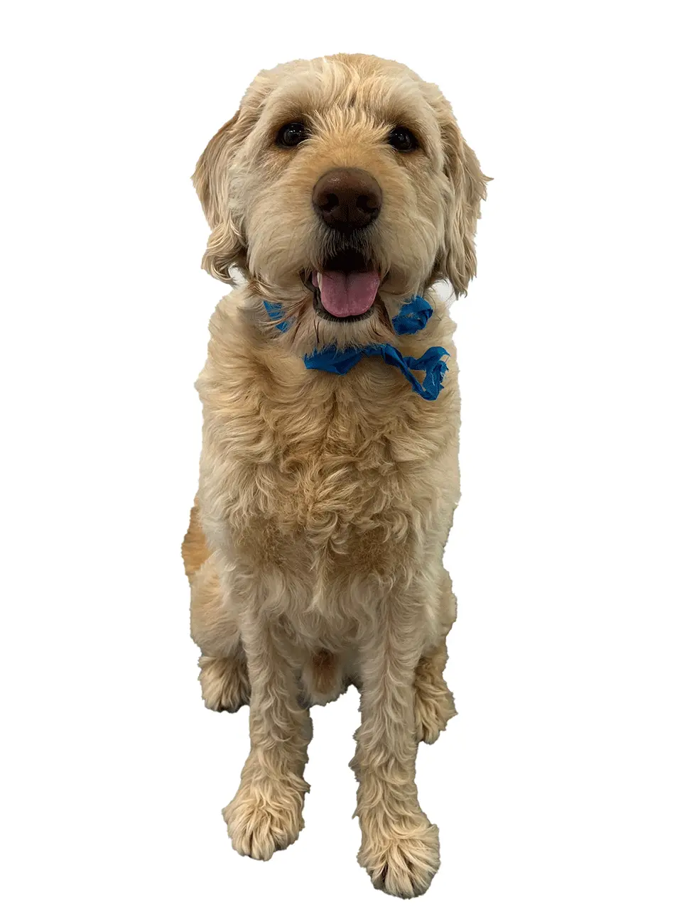 Sam